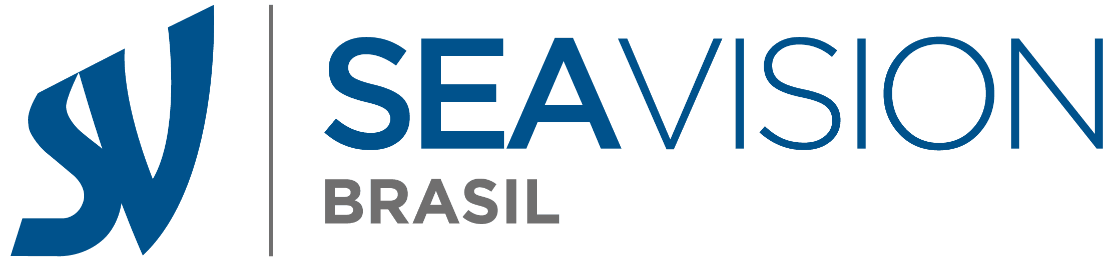 logo sea vision brasil blue